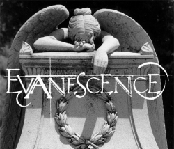 Evanescence  伊凡塞斯壁纸