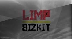 Limp Bizkit软饼干乐队壁纸