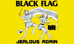 Black Flag高清大图